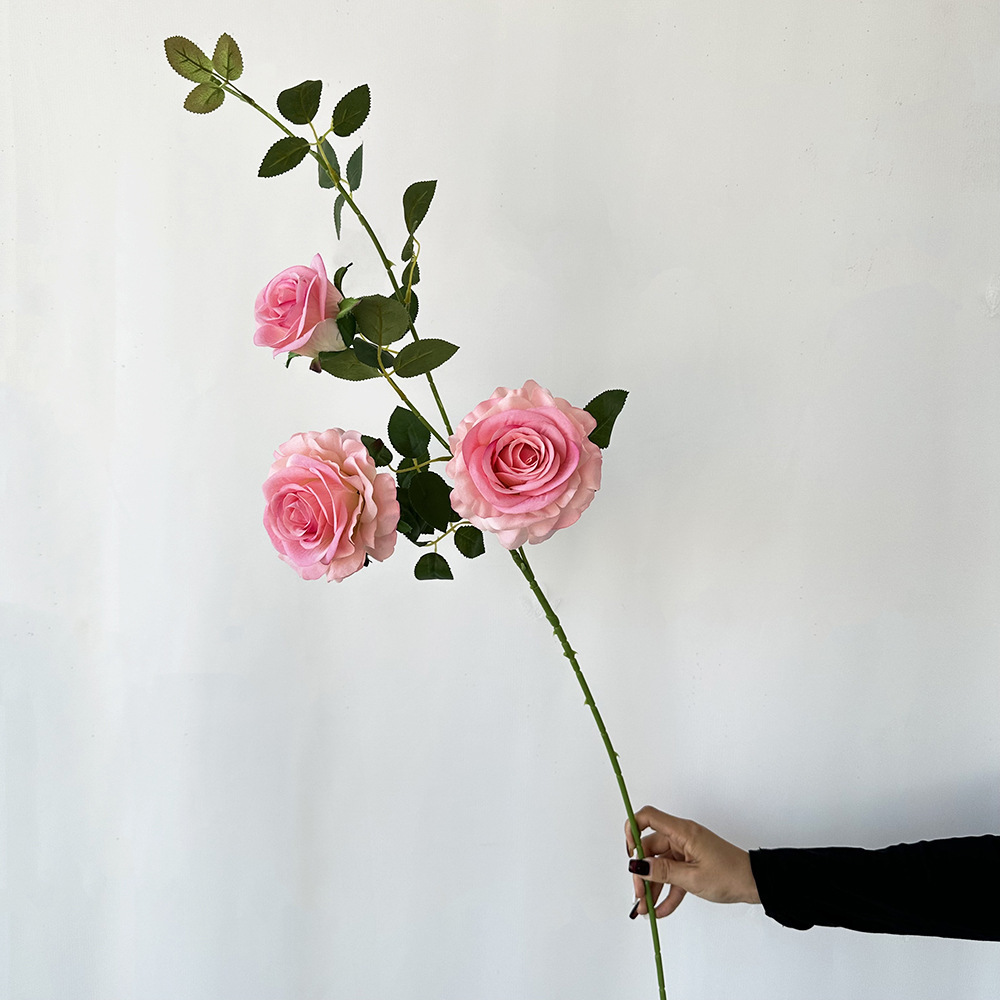 Rosa oscuro