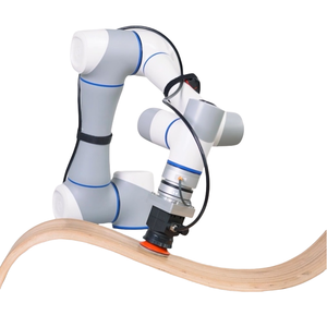 A basso costo semplice programmazione a 6 assi braccio Robot ad alta precisione industriale collaborativo Robot copertura applicazione diversa