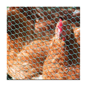 Rete metallica zincata per rete metallica Qunkun piccola rete di filo di pollo in PVC acciaio Malla De Alambre rete metallica esagonale zincata - Product Image 2