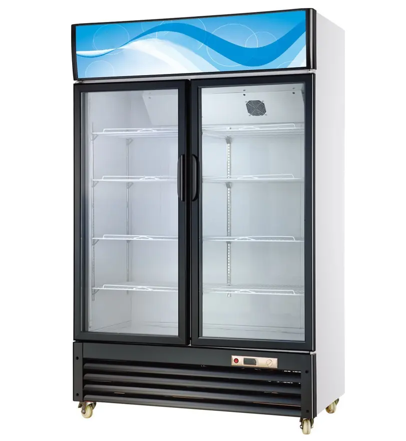 Двойные стеклянные двери дисплей для напитков холодильник Прямое охлаждение вертикальный 2 двери дисплей охладитель