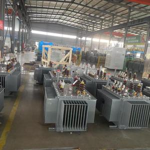 Trasformatori di olio trifase 10kV ingresso 380V uscita 50/60Hz frequenza 400V & 69kV capacità di uscita - Product Image 3