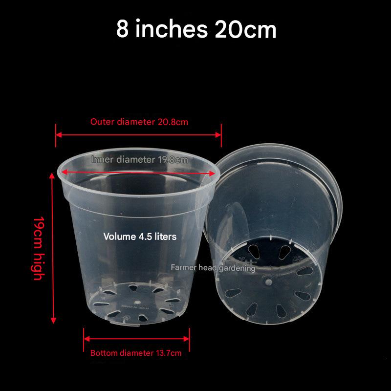Pot de fleur transparent de 8 pouces 20cm