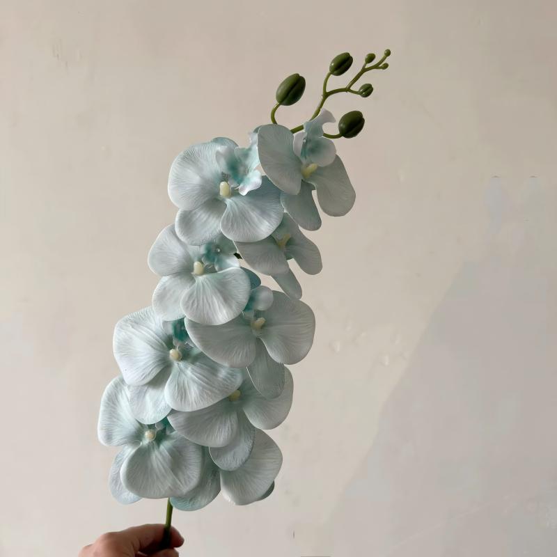 11-Mint Green