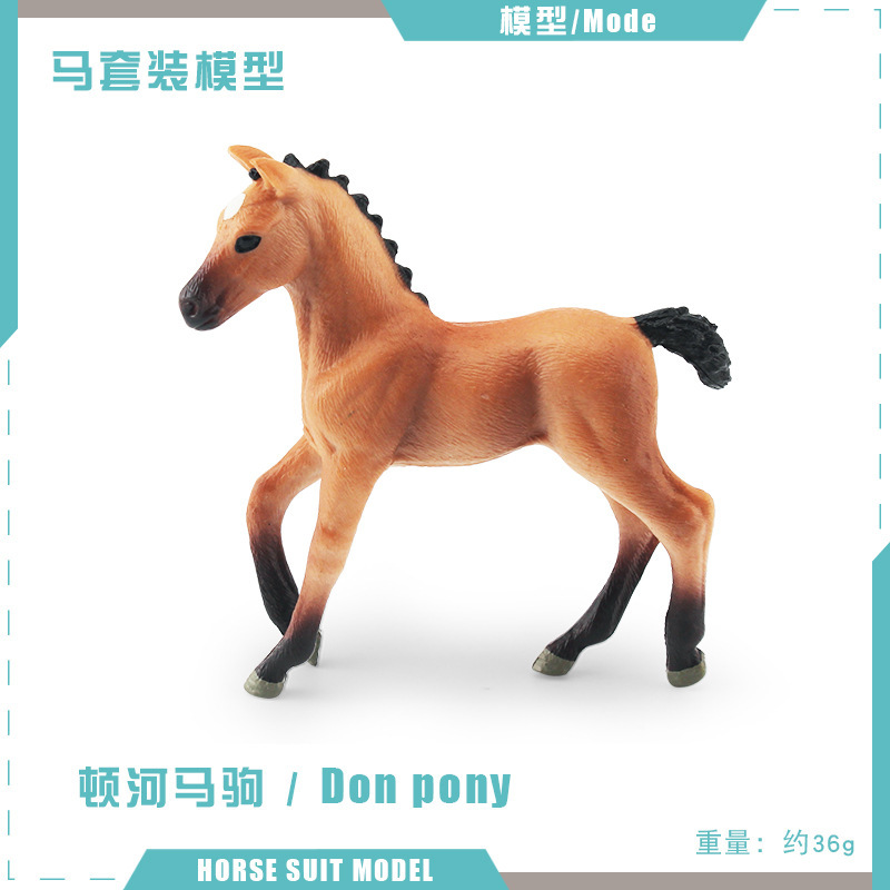T15824 Don Pony 36G