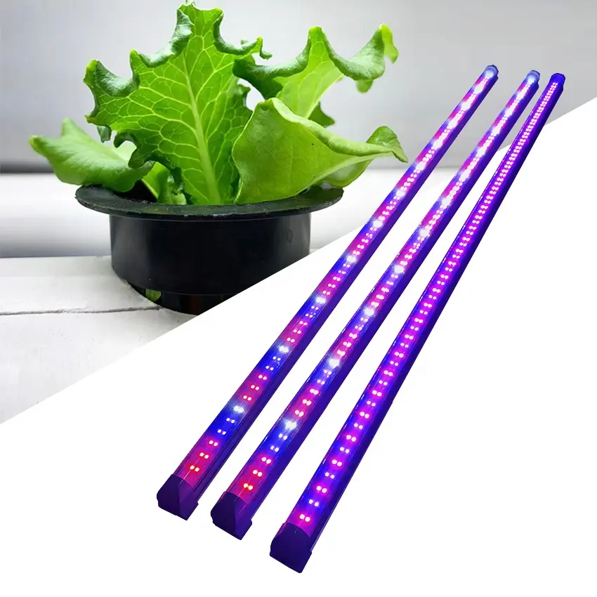 Tubo de luz led fluorescente para cultivo, luz para siembra de lechuga, vegetales y hojas, t5, t8, t10, t12