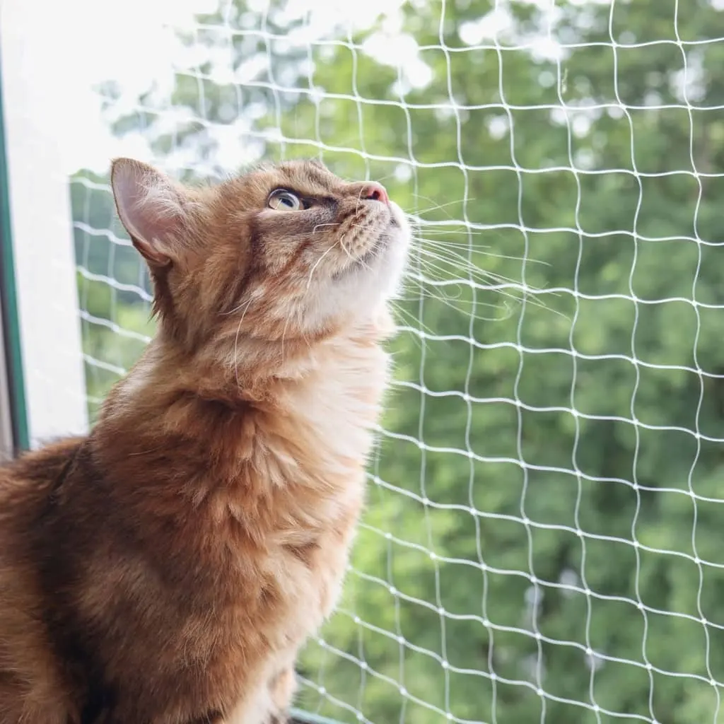 Rete protettiva per gatti protezione protezione per balcone rete per gatti in nylon per finestre di sicurezza