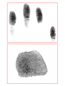 ODM 4 Fingerprint Reader <strong>Sensor</strong> <strong>Module</strong> for Door Lock safe Access <strong>Control</strong> - Product Image 4