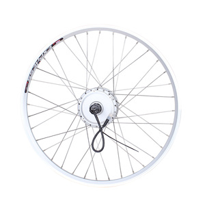 صغير 36 فولت 350 واط فرش ebike تيار مستمر الجبهة محور المحرك الكهربائي