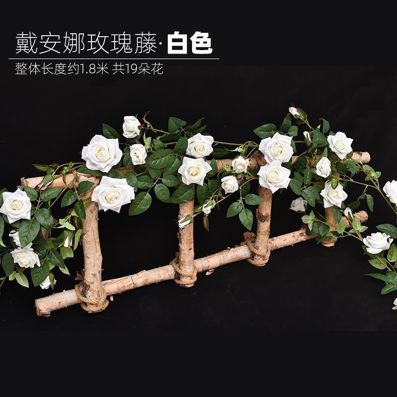 Vigne Diana Rose - Blanc