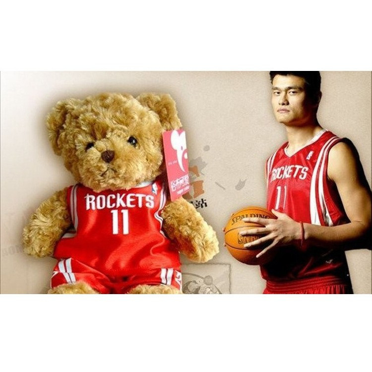 Yao ming (rocket) - sitting height 25cm 0.21kg