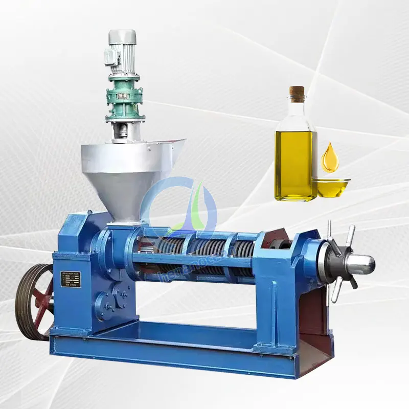 Automatische Sojaolie Extractie Koud Extract Castor Kopra Olie Persmachine Voor Kleine Bedrijven