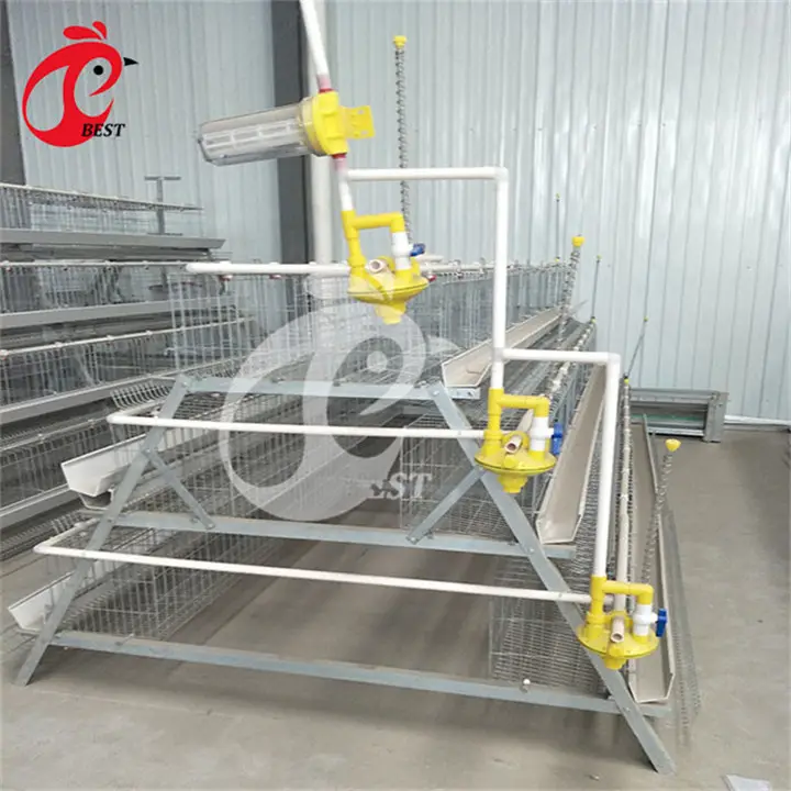 Hot selling raising broiler chickens used 3 or 4 layer stainless steel cage chicken cages auto water system with low price