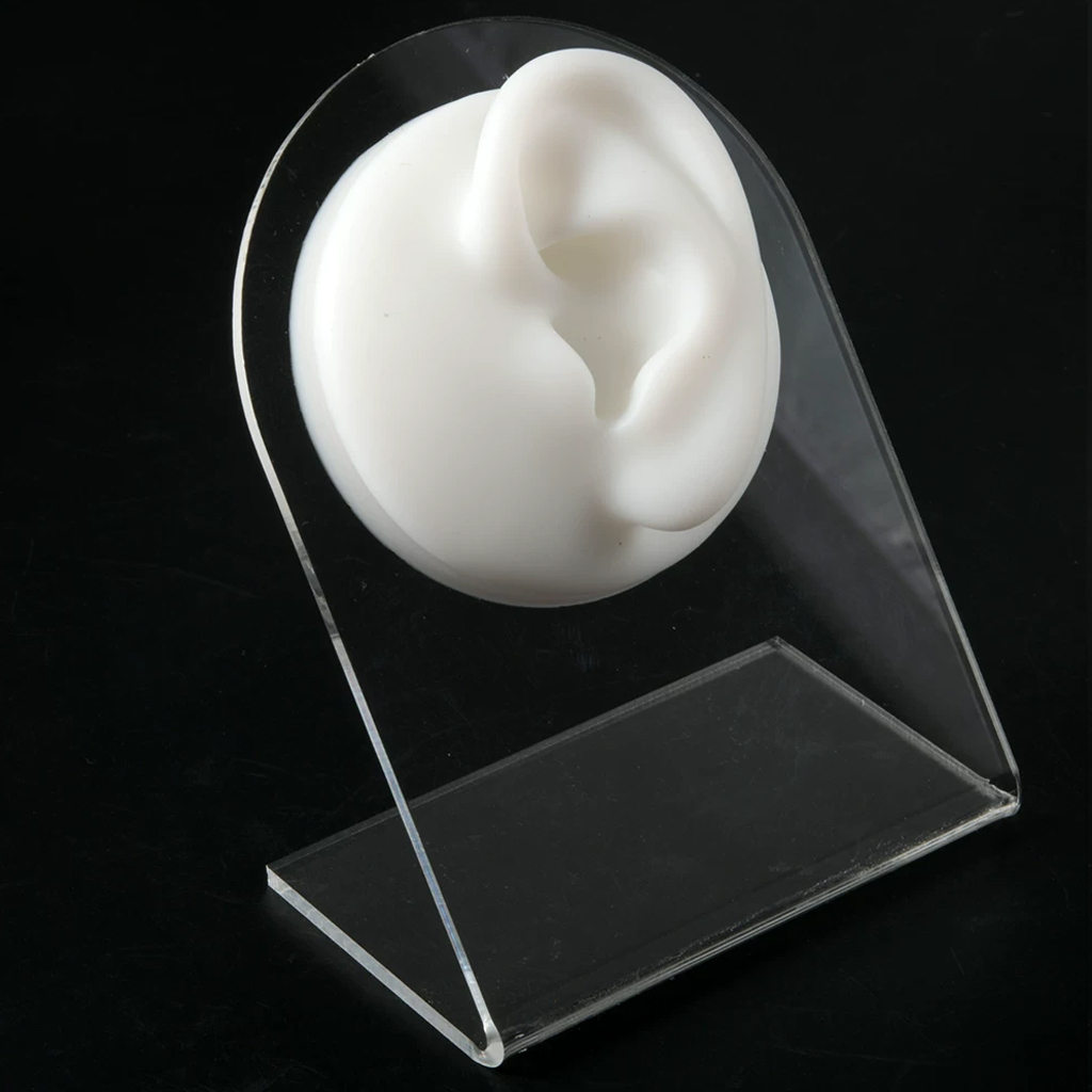 Oreja izquierda blanca