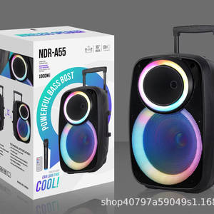 工厂库存NDR-A55 15英寸户外杆音频40w扬声器，带RGB发光二极管灯电池，供舞台使用 - Product Image 3