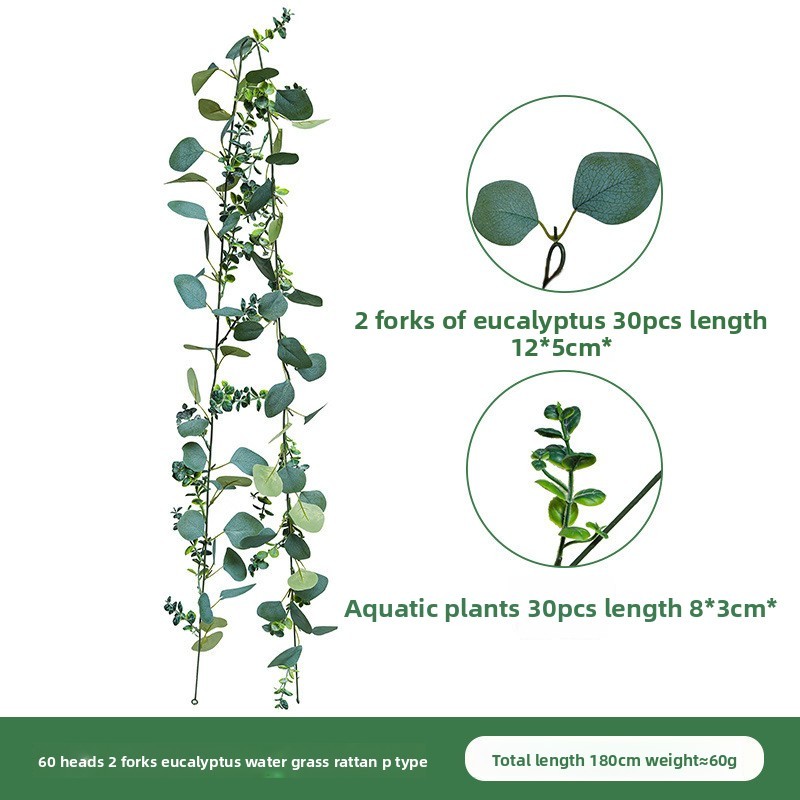Two-pronged Eucalyptus aquatic vine model P (60 p