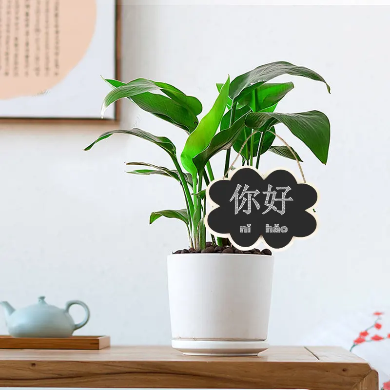 Valentine's Day creative wooden crafts small blackboard succulent price tag home party decoration ornaments message board