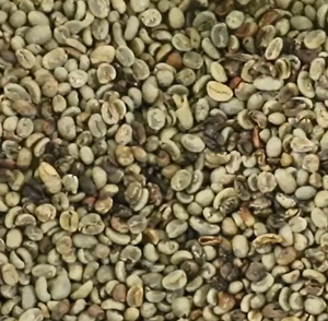 WENYAO nueva máquina inteligente clasificadora de color de granos de café CCD maquinaria de clasificación de color de granos para planta de bebidas popular en Brasil