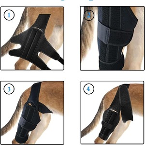 Bacak Hock eklem Wrap nefes yaralanması için köpek destek Brace Pet dizlik kurtarmak