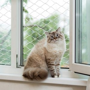 Hot Sale Strong Cat Protection Safety <strong>Net</strong> Transparent Mesh Heavy Duty Cat Fall Protect <strong>Net</strong> <strong>Balcony</strong> Windows Stairs Cat Safety <strong>Net</strong> - Product Image 2