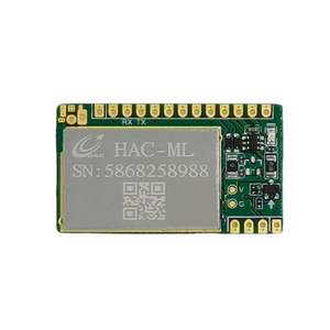 LoRa/LoRaWan-Modul für IOT Smart Wasserzähler/Gaszähler kann kunden spezifisches Modul
