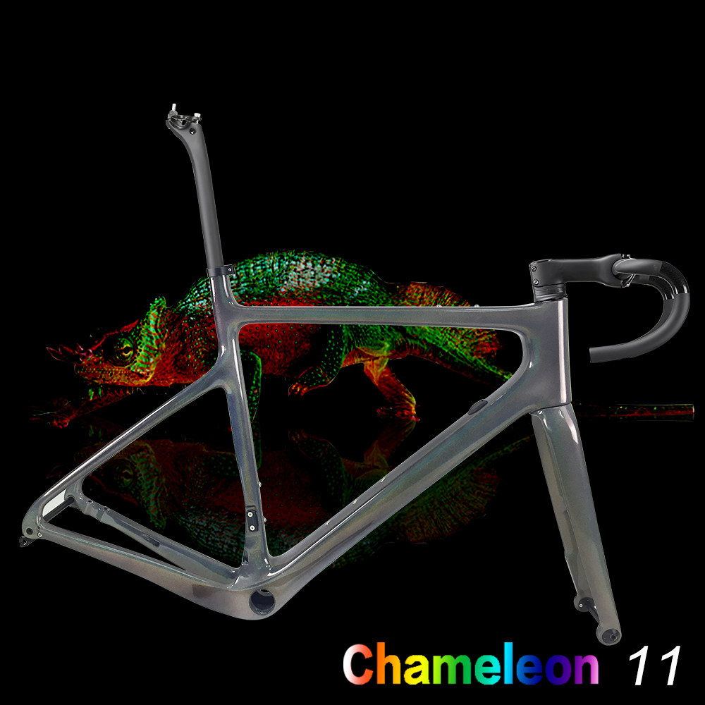 Caméléon 11