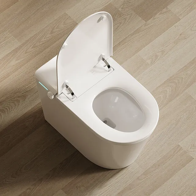 مرحاض حمام أبيض من قطعة واحدة فاخر من السيراميك يصلح كمرشاة مرحاض كامل