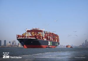 トップ海上貨物運送業者配送代理店中国上海からロサンゼルスニューヨークシカゴマイアミダラスサバンナ米国
