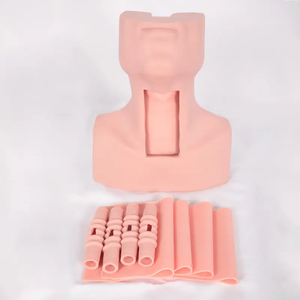 Thyrocricocentesis Tracheotomy Intubation Training Model Sciedu Anatomy Model <strong>Human</strong> Body PVC Medical Training Manikin - Product Image 3