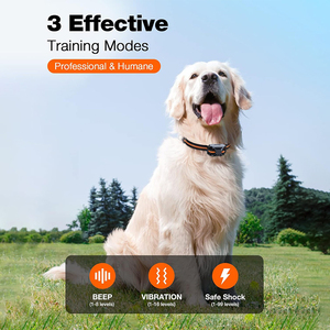 Anpassbares wiederauf lad bares Hunde trainings halsband mit fern gesteuerter stoß fester Funktion für ein oder zwei Hunde aus Kunststoff - Product Image 4