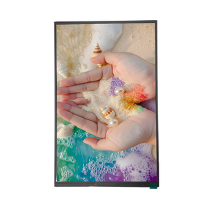 หน้าจอ TFT LCD ขนาด10นิ้ว800x1280 LIPS หน้าจอ LCD แบบมุมมองเต็มจอ MIPI Interface 10.1 "แผง LCD - Product Image 2
