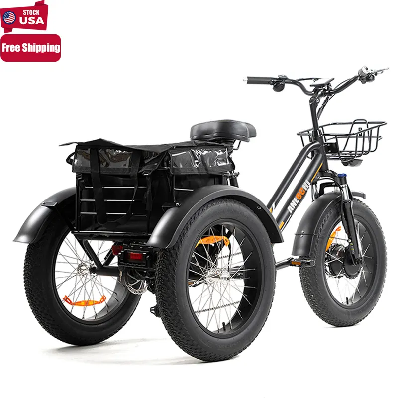 ANLOCHI זול PAS תלת E שומן צמיג שלושה גלגל trike חשמלי אופני e-trikes 750 ואט למבוגרים