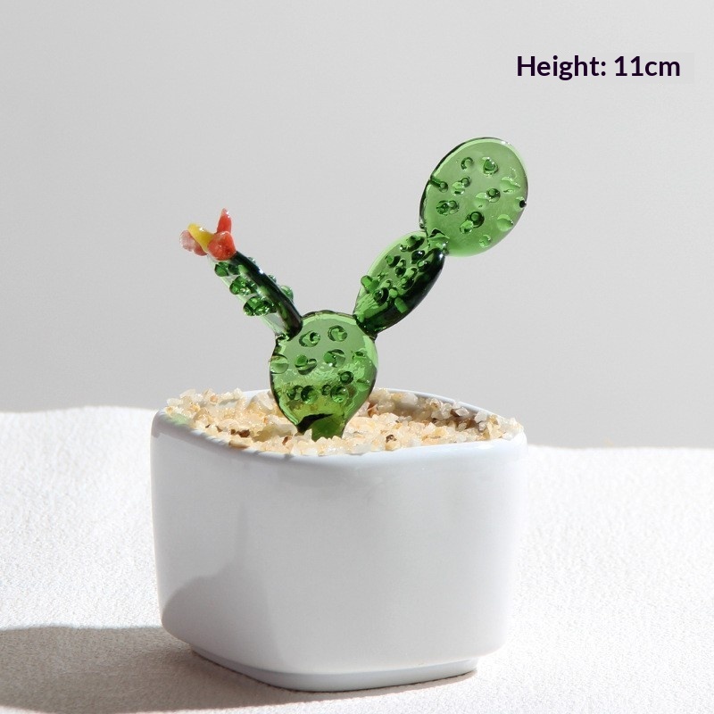 Cactus à fleurs rouges
