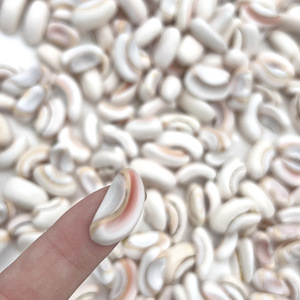1.5ธรรมชาติ-2ซม. ถั่วหอยสังข์ธรรมชาติและเปลือกหอยขายปอนด์ - Product Image 4