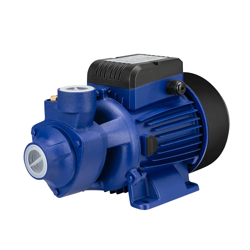 Pompa acqua vortice motore elettrico serie pk60 MKP60