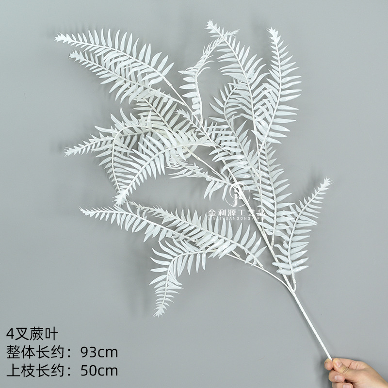 Bracken feuille herbe blanche