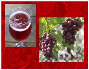 Hương vị ngọt ngào 2025 Cabernet Sauvignon 350ml rượu vang sủi không cồn với hương vị sắp tới xu hướng đồ uống - Product Image 3