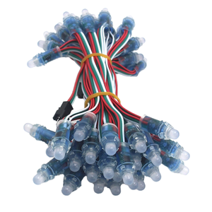 5V 12V 12mm Smart <span class=keywords><strong>Led</strong></span> Point Pixel Module 5V <span class=keywords><strong>String</strong></span> Light <span class=keywords><strong>Led</strong></span> Pixel Ws2811 Rgb Luces <span class=keywords><strong>Led</strong></span> IP68 80 <span class=keywords><strong>Led</strong></span> Iluminación de techo 12V Fuente - Product Image 1