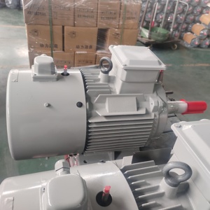 Verimli 5 HP 60KW 3 fazlı asenkron AC İndüksiyon motoru değişken frekanslı elektrik motoru ile 1500 RPM anma hızı 400W - Product Image 5