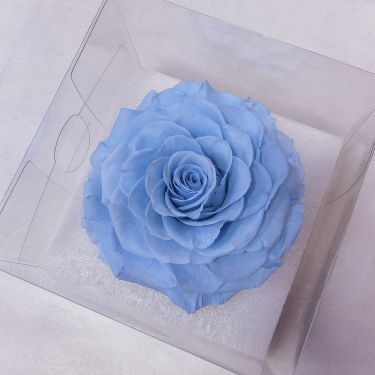 Azure blue