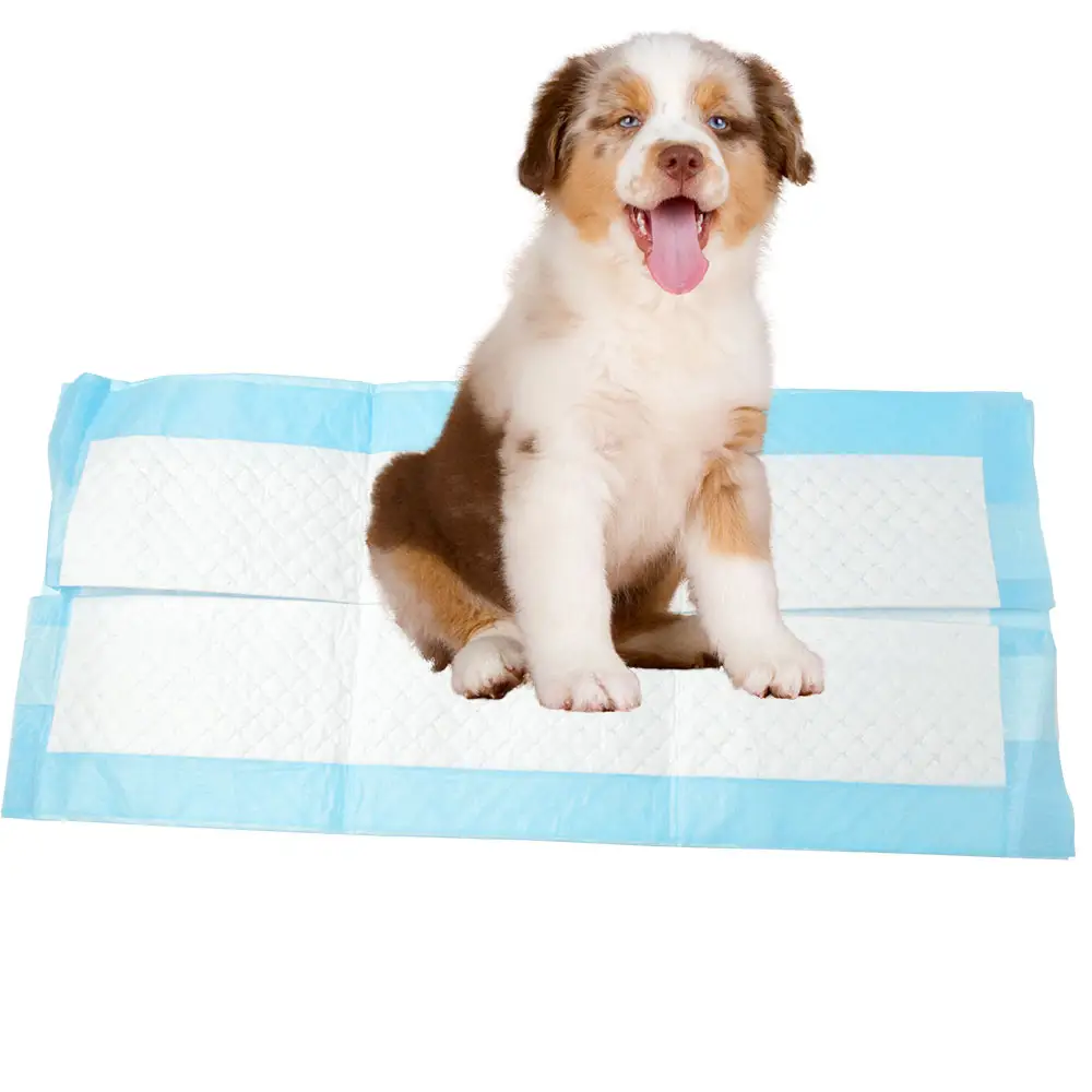 Chăm Sóc Vật Nuôi Động Vật Chăn Pet Dùng Một Lần Puppy Đào Tạo Miếng Đệm Vật Nuôi Pee Miếng Đệm Thêm Asorbant