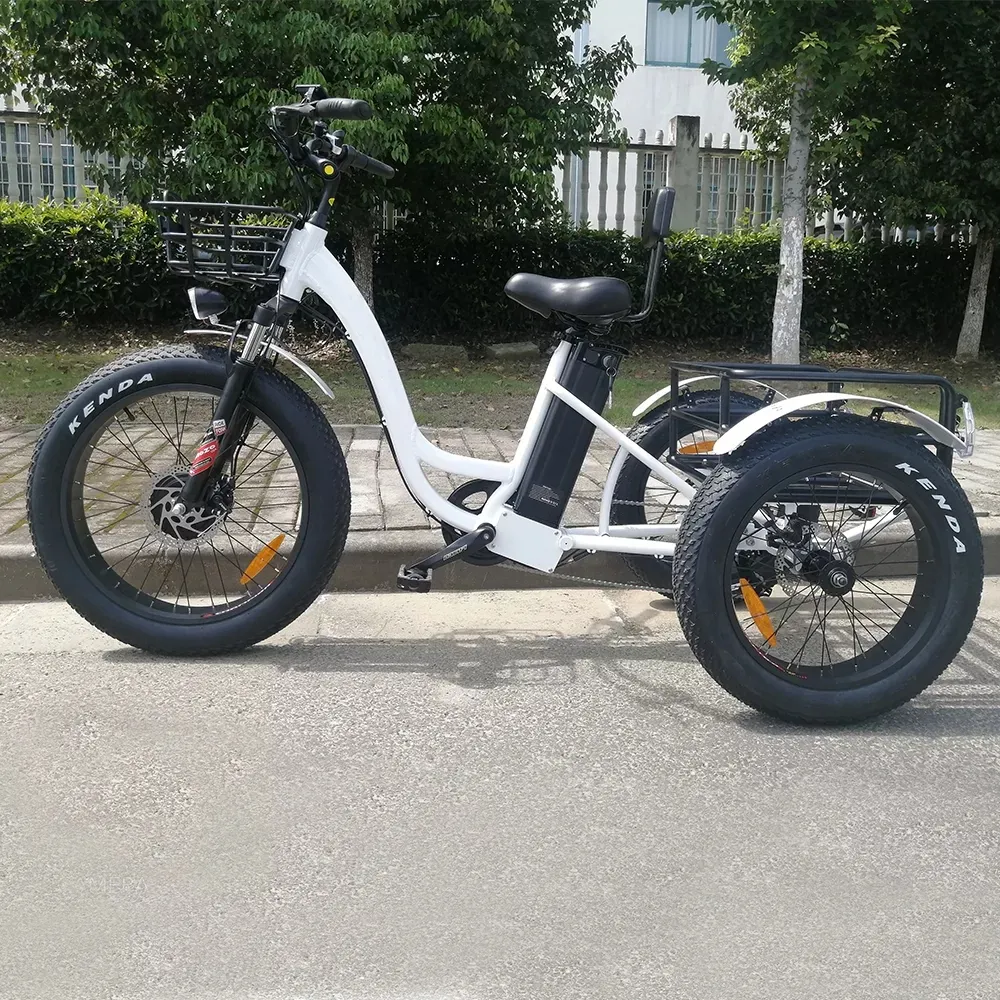 Triciclo eléctrico para adultos, vehículo eléctrico de 1000W y 45 km/H de velocidad, diseño moderno, precio chino