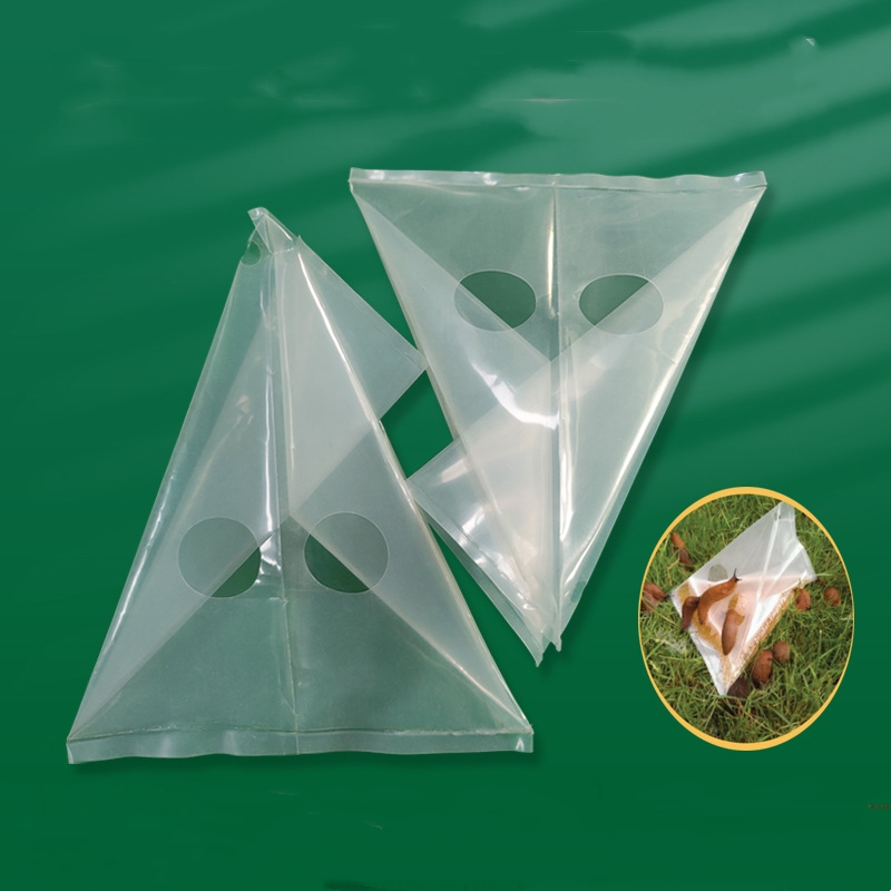 Transparent