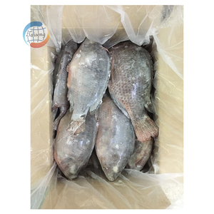 罗非鱼冷冻罗非鱼出售