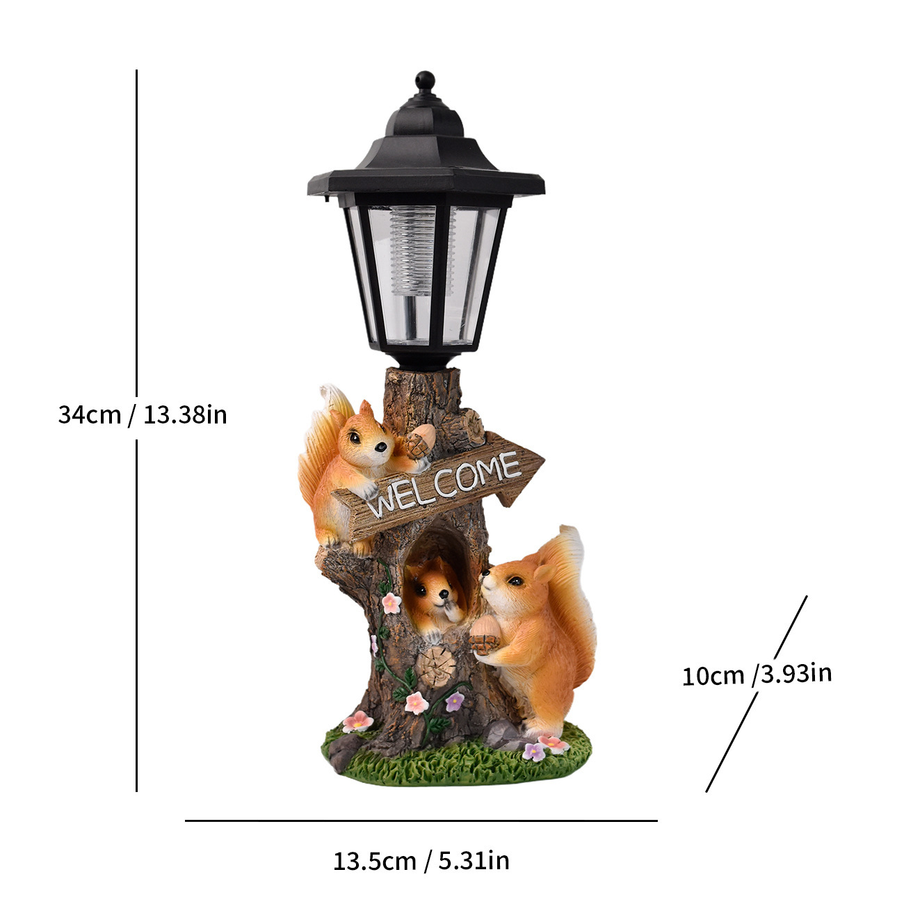 écureuil coloré du trou d'arbre de sagesse LD26020