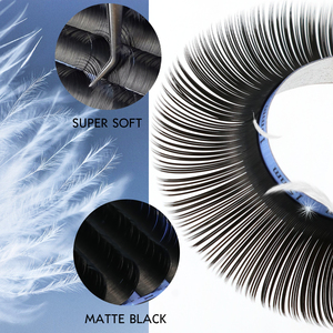 Elliptical Flat <strong>Lashes</strong> Single Eyelash Extensions Private Label Cashmere Volume <strong>Lashes</strong> Dark Fluffy <strong>Lash</strong> Extensions 0.15 0.20 0.25 - Product Image 4