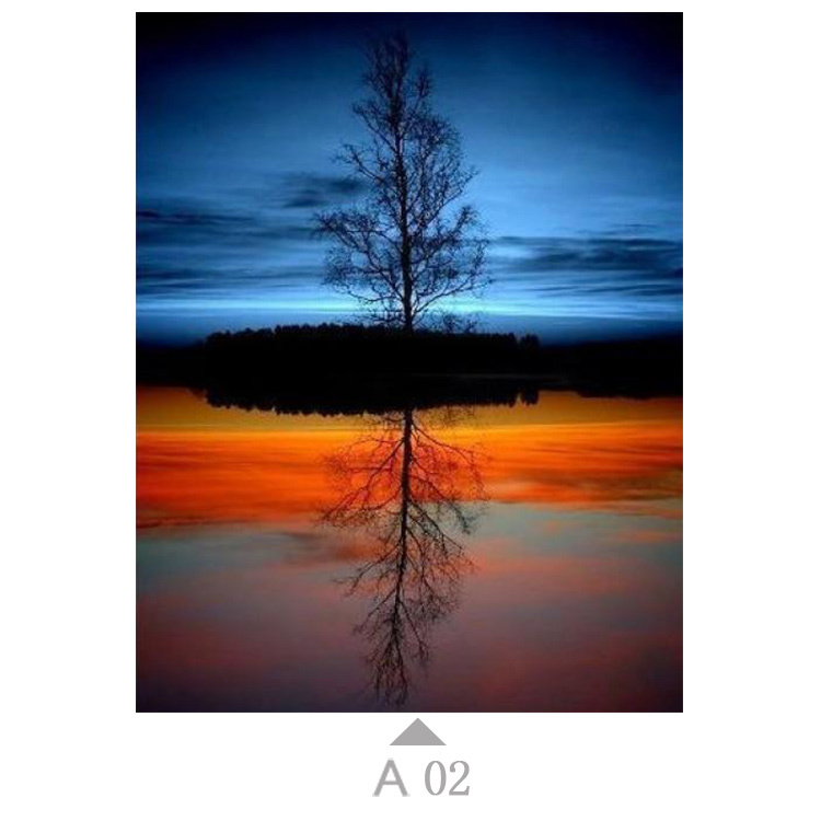 Multicolor-A02