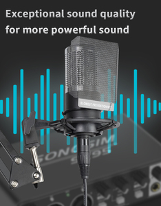 GAM-ZX60ハイファイ録音音質インタビューマイクコンデンサーマイク、ポップフィルター付きXLR for Studio - Product Image 6