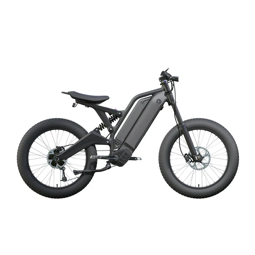 48V Doppel batterie Mittelmotor 24 Zoll Lithium batterie E-Bike 1000W Fett reifen Elektro-E-Bike Motorrad