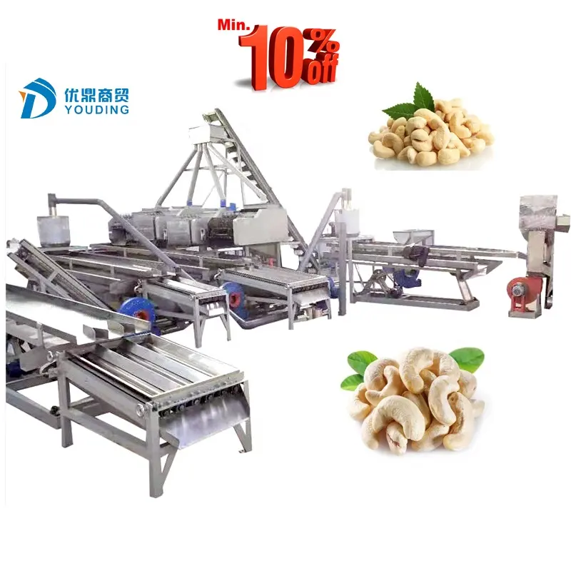 Complete cashew nuts processing plant automatic cashew nuts drying machine