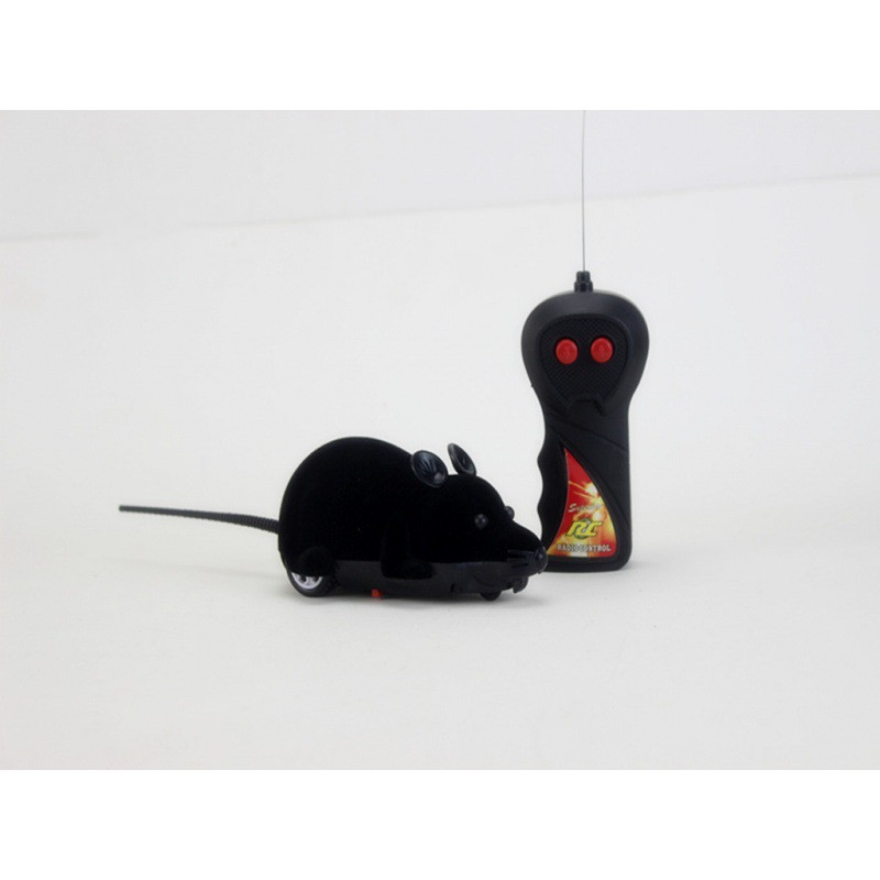Ratón negro de oreja negra